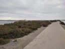 GR42 du Grau-du-Roi à Aigues-Mortes